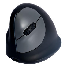 MOUSE USB OPTICAL WRL / L. BLK RGOHELELAWL R-GO TOOLS
