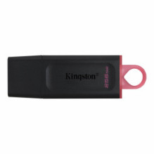 Kingston DataTraveler Exodia 256GB