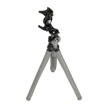 Stand - Newell Torsion...