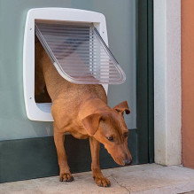 Pet door - Ferplast Swing 11 Grey 31 x 9.6 x 38.4 cm Pet door - Ferplast Swing 11 Grey 31 x 9.6 x 38.4 cm