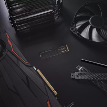 SSD, SANDISK, Read speed 4000 MB / s, Write speed 2000 MB / s, NVMe Yes, PCI Express 4.0, M.2, 250 GB, Black SN770, WDS2