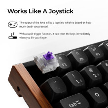 KEYBOARD WRL K2 HE SPECIAL ED. / BLACK K2H-F1 KEYCHRON
