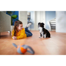 Vacuum Cleaner, PHILIPS, PowerPro Expert 7000 series, Bagless, 900 Watts, Capacity 2 l, Noise 75 dB, Black, Weight 5.5 k