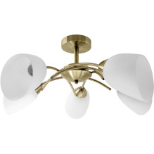 Ceiling Lamp - Activejet...