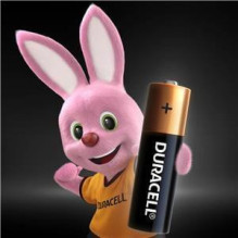 Elementai DURACELL AA / LR06, 1.5V, 10 vnt.