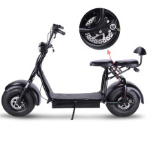 ELECTRIC SCOOTER 2 WHEELS QS-02 1000W ELECTRIC SCOOTER 2 WHEELS QS-02 1000W