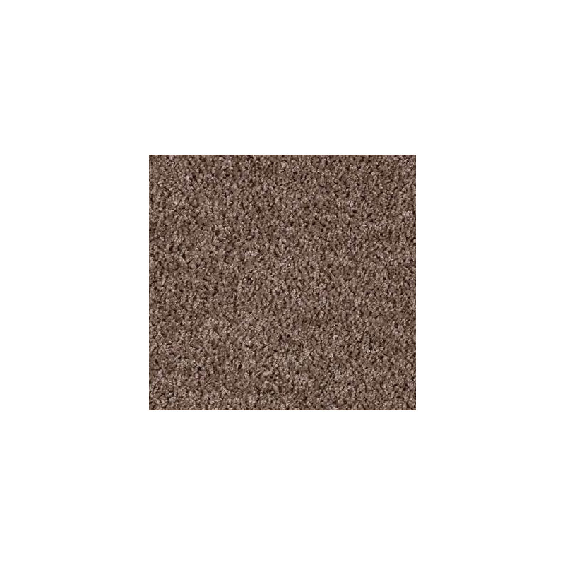 CARPET ROLL TIMELESS 49 4M WIDTH
