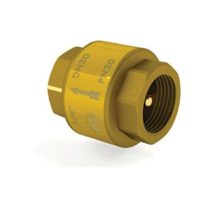 SPRING CHECK VALVE F-F 1 /...