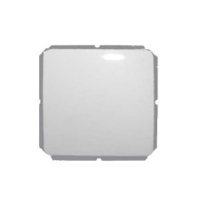 SWITCH WITH FRAME, WITHOUT...