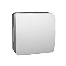 UNIVERSAL SWITCH WITHOUT FRAME