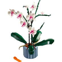 Konstruktorius LEGO Orchidėja 10311, 608 vnt. Konstruktorius LEGO Orchidėja 10311, 608 vnt.