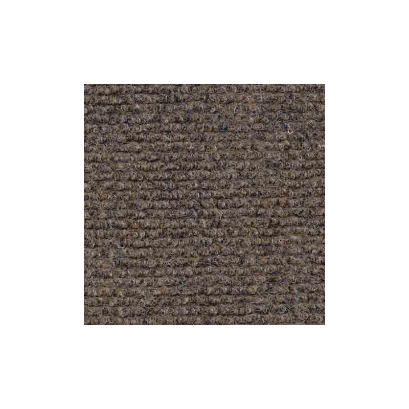 CARPETING INDEX 897