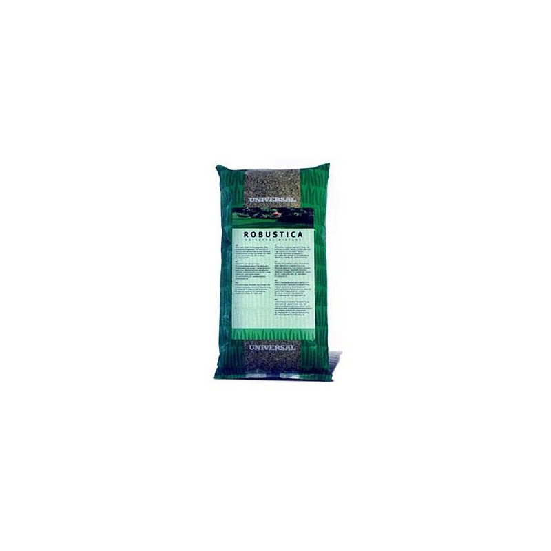 Lawn seeds DLF Robustika, 1 kg
