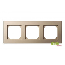 FRAME LIREGUS EPSILON...