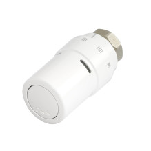THERMOSTATIC HEAD 013G6080...