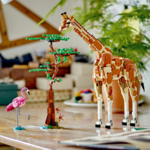 Lego Wild Safari Animals 31150 Lego Wild Safari Animals 31150