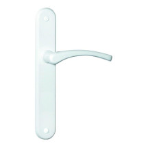 DOOR HANDLE WITH PLATE EVA...
