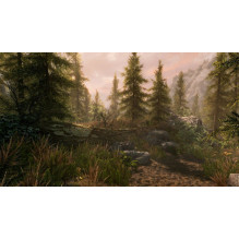 Bethesda Softworks Elder Scrolls V: Skyrim Switch Bethesda Softworks Elder Scrolls V: Skyrim Switch