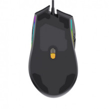 Salė F805