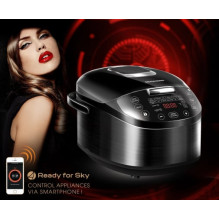 Redmond RMC-M800S Redmond RMC-M800S