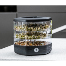 Werner Greens sprouting container Mungo Black