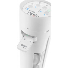 GALLET GALVEN82T White