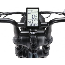 Ape Ryder A10 20'' Black