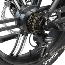 Ape Ryder A10 20'' Black