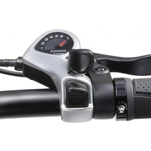 Ape Ryder A10 20'' juodas