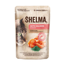 SHELMA with salmon in sauce...
