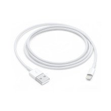 Apple Lightning to USB...