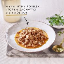 GOURMET GOLD padažas su vištienos skonio malonumais, 85 g GOURMET GOLD padažas su vištienos skonio malonumais, 85 g