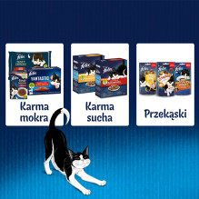 Felix Fantastic triušių ir ėrienos šlapias kačių ėdalas 340 g (4 x 85 g) Felix Fantastic triušių ir ėrienos šlapias kačių ėdalas 340 g (4 x 85 g)