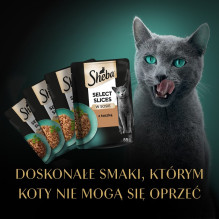 SHEBA Selection Select Slices paukštienos skonio šlapias kačių ėdalas 40 x 85 g SHEBA Selection Select Slices paukštienos skonio šlapias kačių ėdalas 40 x 85 g
