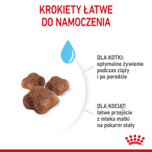Royal Canin Mother Babycat sausas kačių maistas suaugusioms paukštienos veislėms, 4 kg