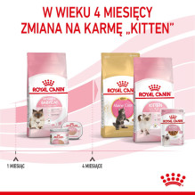 Royal Canin Mother Babycat sausas kačių maistas suaugusioms paukštienos veislėms, 4 kg