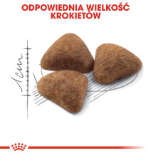 ROYAL CANIN Indoor 27 - sausas kačių ėdalas - 2 kg