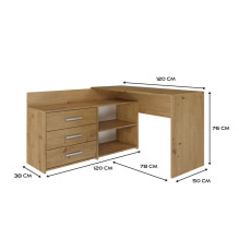 Topeshop DANY ARTISAN KPL kompiuterio stalas, ąžuolo spalvos