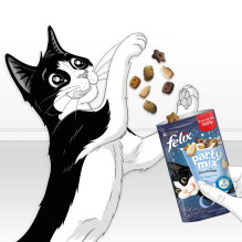 FELIX Party Mix Dairy Delight - Kačių skanėstas - 60 g