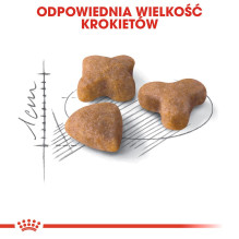 ROYAL CANIN Sensible - sausas kačių ėdalas - 2 kg ROYAL CANIN Sensible - sausas kačių ėdalas - 2 kg