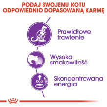 ROYAL CANIN Sensible - sausas kačių ėdalas - 2 kg ROYAL CANIN Sensible - sausas kačių ėdalas - 2 kg
