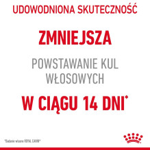 Royal Canin Hairball Care sausas kačių ėdalas 2 kg Royal Canin Hairball Care sausas kačių ėdalas 2 kg