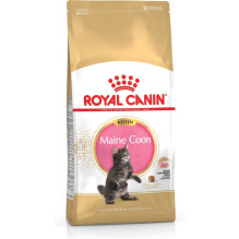 ROYAL CANIN Maine Coon kačiukams – sausas kačių ėdalas – 4 kg ROYAL CANIN Maine Coon kačiukams – sausas kačių ėdalas – 4 kg