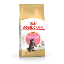 ROYAL CANIN Maine Coon kačiukams – sausas kačių ėdalas – 4 kg ROYAL CANIN Maine Coon kačiukams – sausas kačių ėdalas – 4 kg