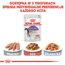 ROYAL CANIN FHN Sterilised in sauce - wet food for adult cats - 12x85g