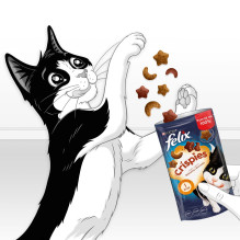 FELIX Crispies Beef, Chicken - dry cat food - 45 g FELIX Crispies Beef, Chicken - dry cat food - 45 g
