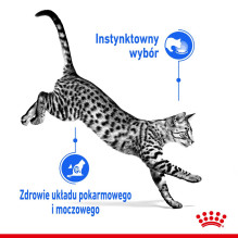 ROYAL CANIN Indoor Sterilized - Wet food for adult cats - Chunks in sauce 12x85 g ROYAL CANIN Indoor Sterilized - Wet food for adult cats - Chunks in sauce 12x85 g