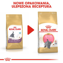 Royal Canin British Shorthair Kitten cats dry food 2 kg Poultry, Rice, Vegetable Royal Canin British Shorthair Kitten cats dry food 2 kg Poultry, Rice, Vegetable