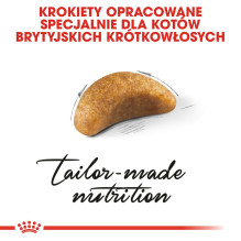 Royal Canin British Shorthair Kitten sausas kačių maistas 2 kg su paukštiena, ryžiais, daržovėmis Royal Canin British Shorthair Kitten sausas kačių maistas 2 kg su paukštiena, ryžiais, daržovėmis