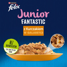 Felix Fanstastic Junior - šlapias kačių ėdalas - 85 g Felix Fanstastic Junior - šlapias kačių ėdalas - 85 g